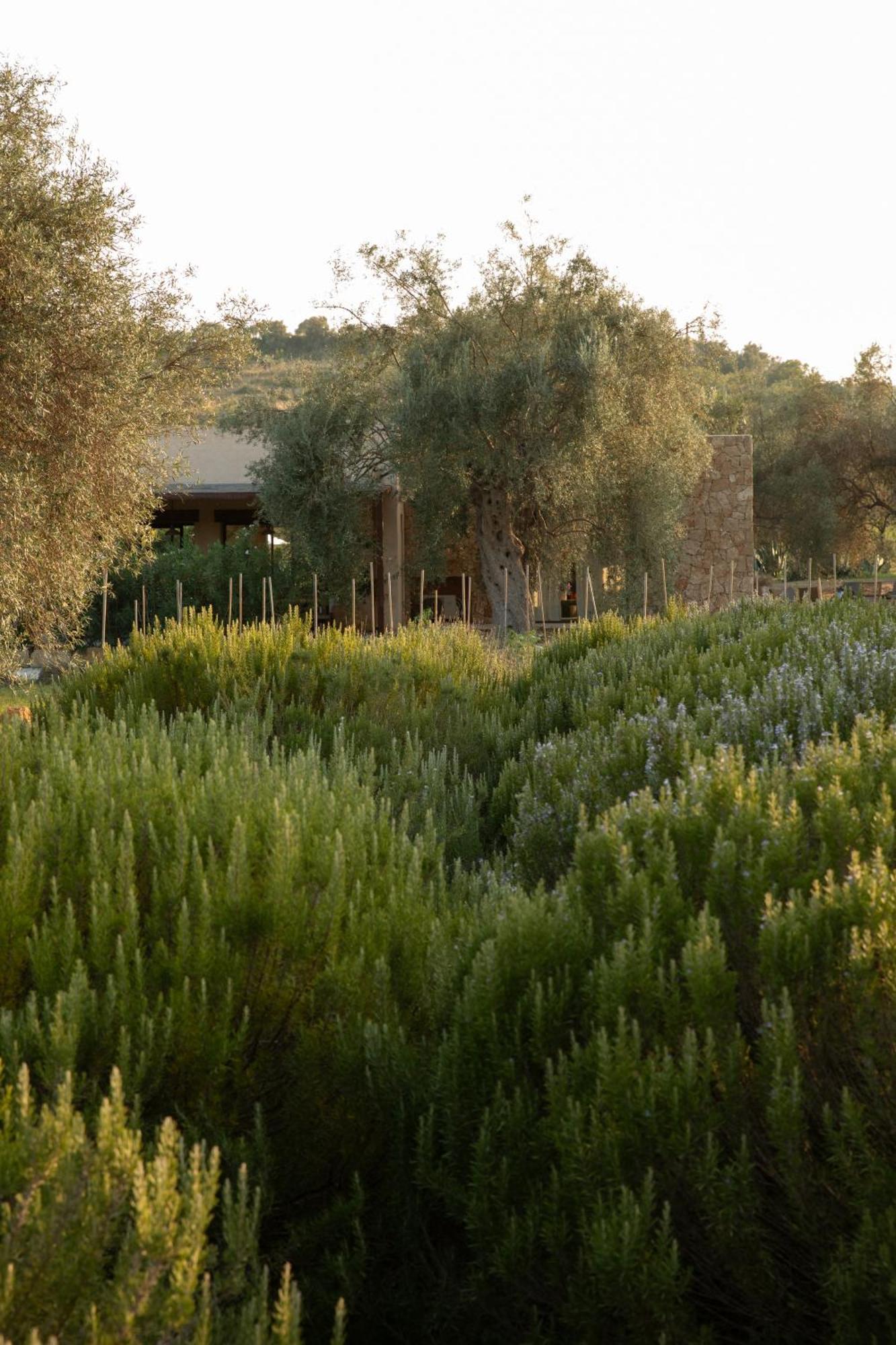 Iuta Farm Villa Noto Exterior photo