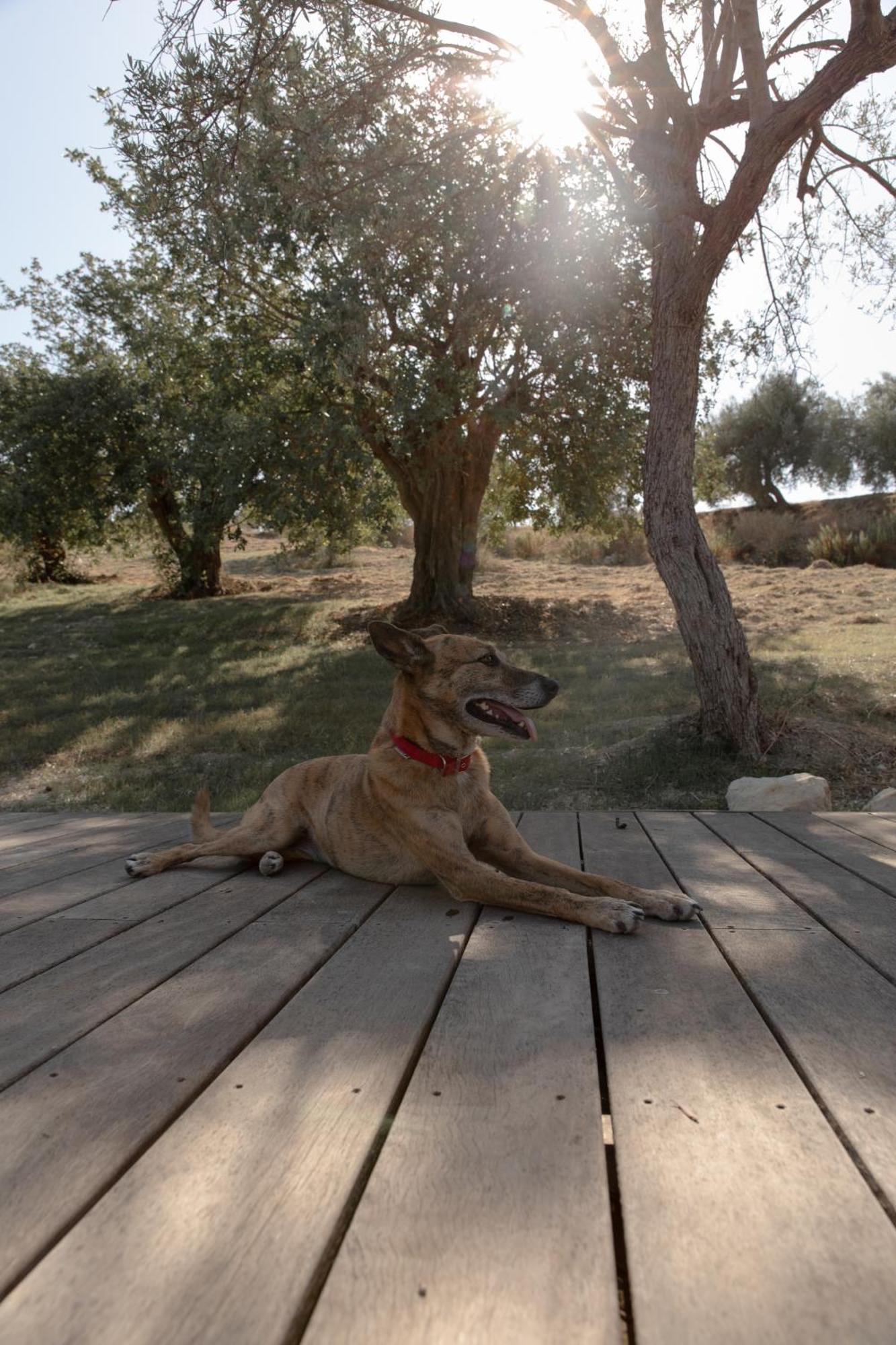 Iuta Farm Villa Noto Exterior photo