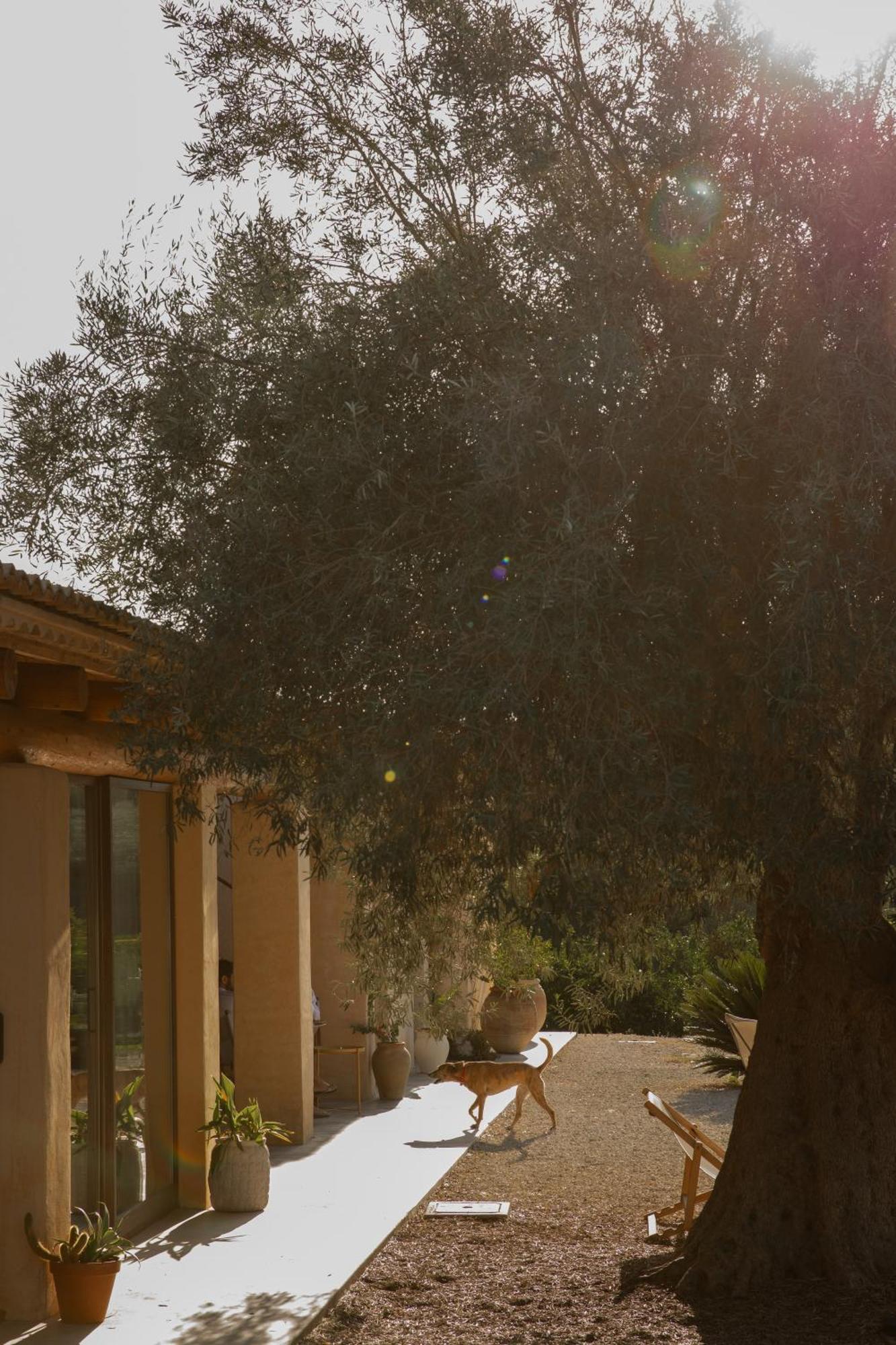Iuta Farm Villa Noto Exterior photo
